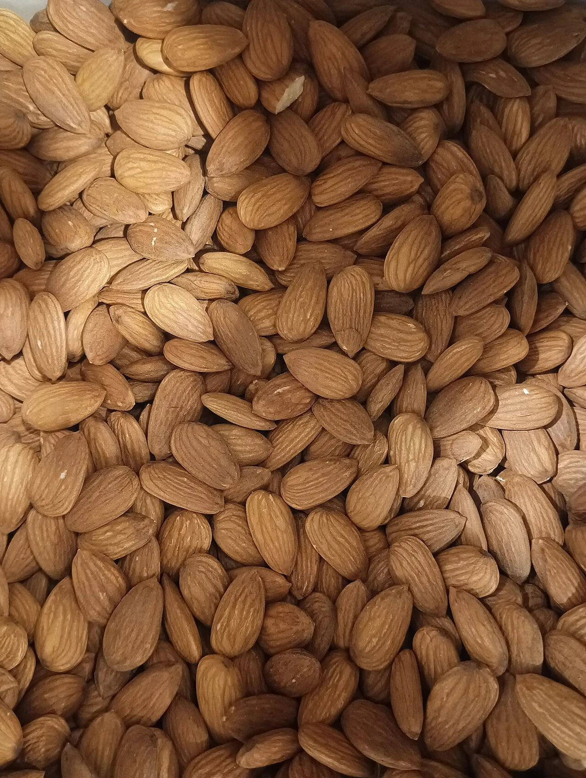 Close-up of whole brown almonds
